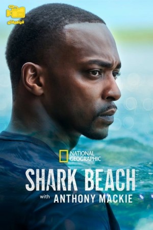 دانلود مستند ساحل کوسه با آنتونی مکی Shark Beach with Anthony Mackie 2024