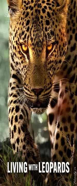 دانلود مستند زیبای زندگی با پلنگ ها Living with Leopards 2024