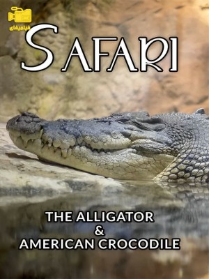دانلود مستند سافاری: تمساح و کروکودیل آمریکایی Safari: The Alligator & American Crocodile 1996