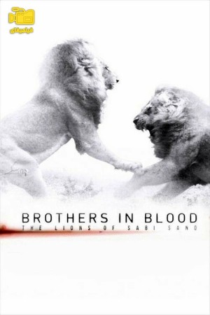 دانلود مستند برادران تنی: شیر‌های سابی سند Brothers in Blood: The Lions of Sabi Sand 2015