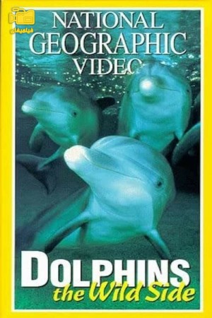دانلود مستند دلفین‌های وحشی Dolphins: The Wild Side 1999