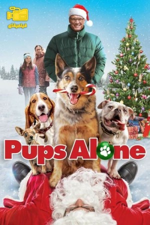 دانلود فیلم سگ‌های تنها در خانه Pups Alone 2021