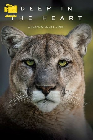 دانلود مستند در اعماق قلب: داستانی از حیات وحش تگزاس 2022